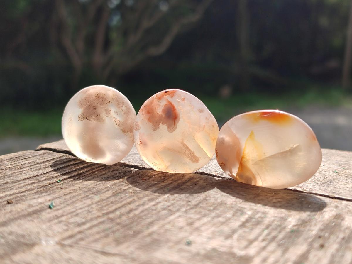 Polished Wire Wrap Size Flower Agate Free Forms x 140 From Antsahalova, Madagascar - Toprock Gemstones and Minerals 