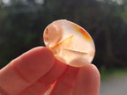 Polished Wire Wrap Size Flower Agate Free Forms x 140 From Antsahalova, Madagascar - Toprock Gemstones and Minerals 