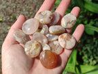 Polished Wire Wrap Size Flower Agate Free Forms x 140 From Antsahalova, Madagascar - Toprock Gemstones and Minerals 