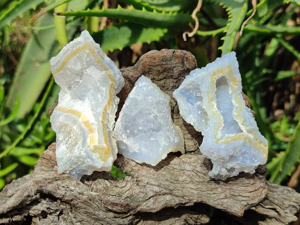 Natural Etched Blue Chalcedony Geodes x 35 From Nsanje, Malawi - Toprock Gemstones and Minerals 