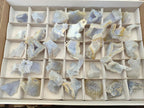 Natural Etched Blue Chalcedony Geodes x 35 From Nsanje, Malawi - Toprock Gemstones and Minerals 