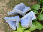 Natural Etched Blue Chalcedony Geodes x 35 From Nsanje, Malawi - Toprock Gemstones and Minerals 