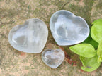 Polished Girasol Pearl Quartz Hearts x 24 From Ambatondrazaka, Madagascar - Toprock Gemstones and Minerals 