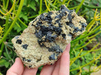 Natural Schorl Black Tourmaline with Vermiculite x 3 From Erongo, Namibia - Toprock Gemstones and Minerals 
