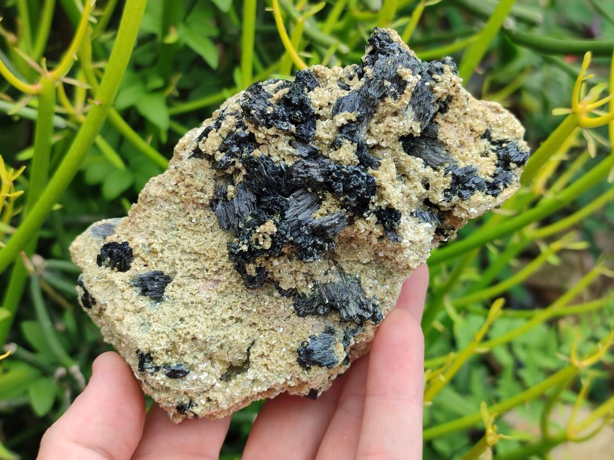 Natural Schorl Black Tourmaline with Vermiculite x 3 From Erongo, Namibia - Toprock Gemstones and Minerals 