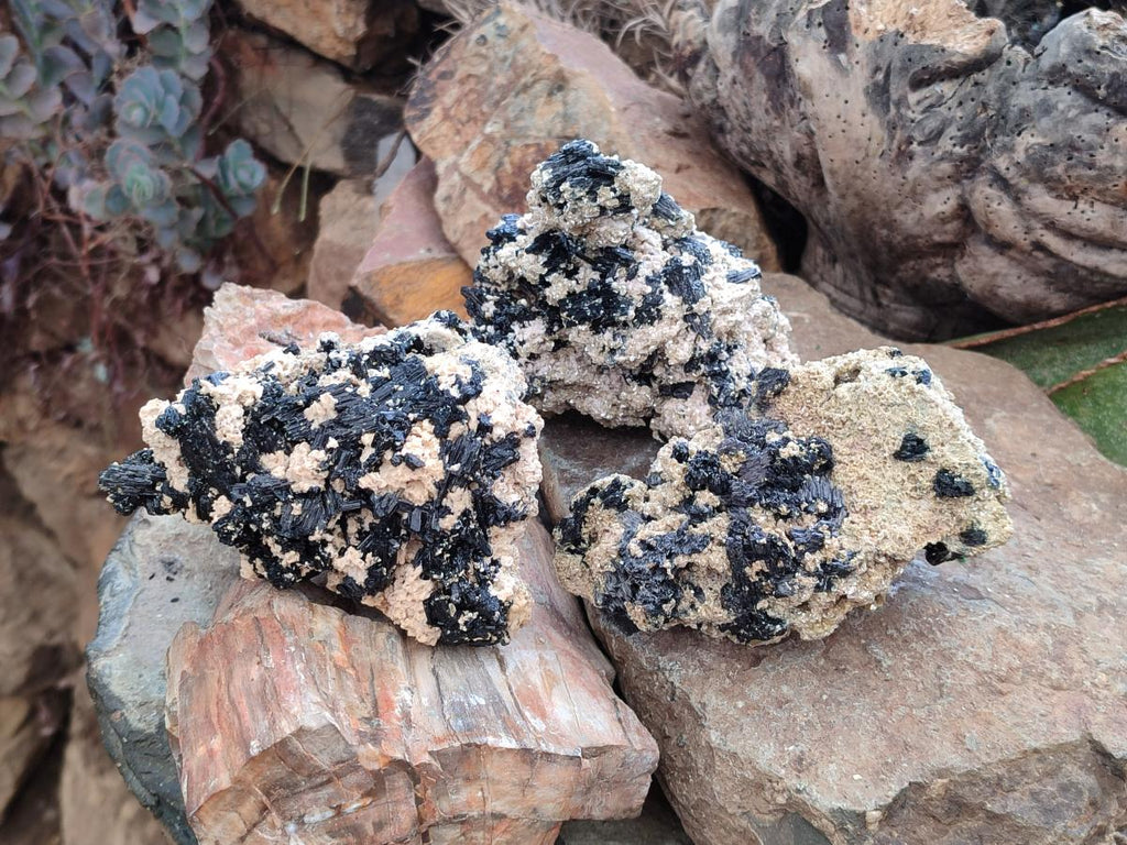 Natural Schorl Black Tourmaline with Vermiculite x 3 From Erongo, Namibia - Toprock Gemstones and Minerals 