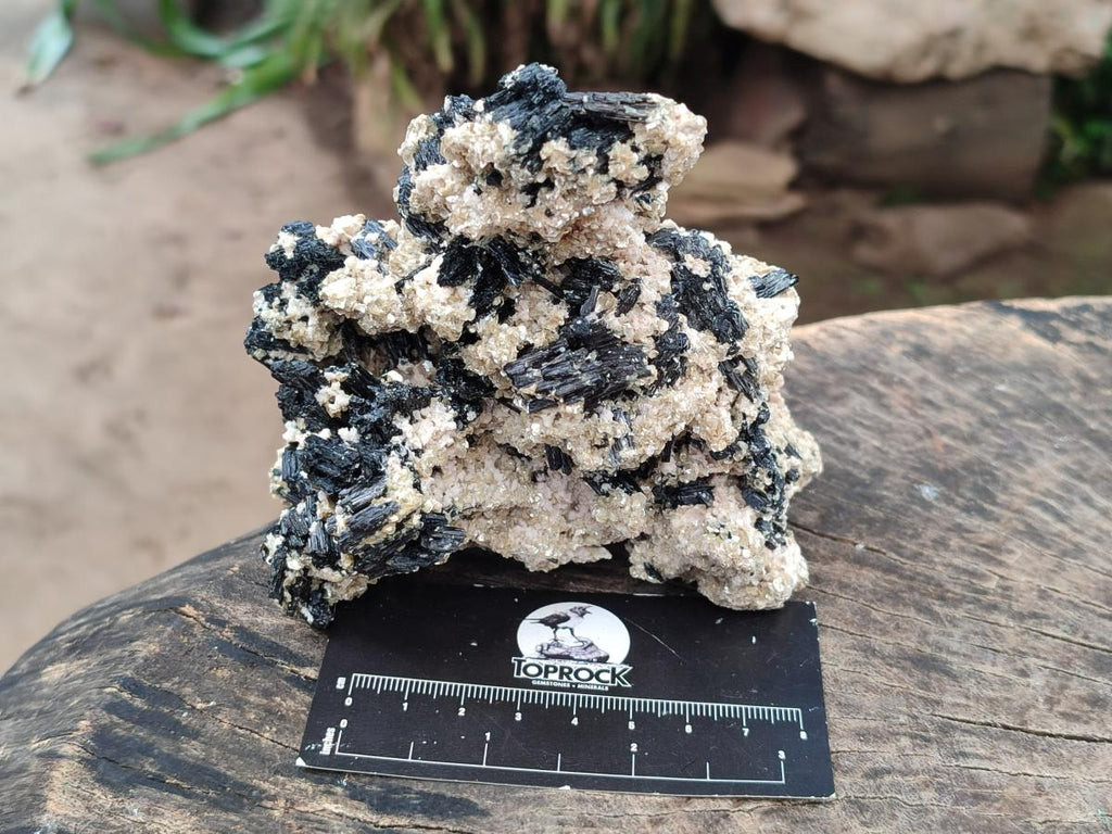 Natural Schorl Black Tourmaline with Vermiculite x 3 From Erongo, Namibia - Toprock Gemstones and Minerals 