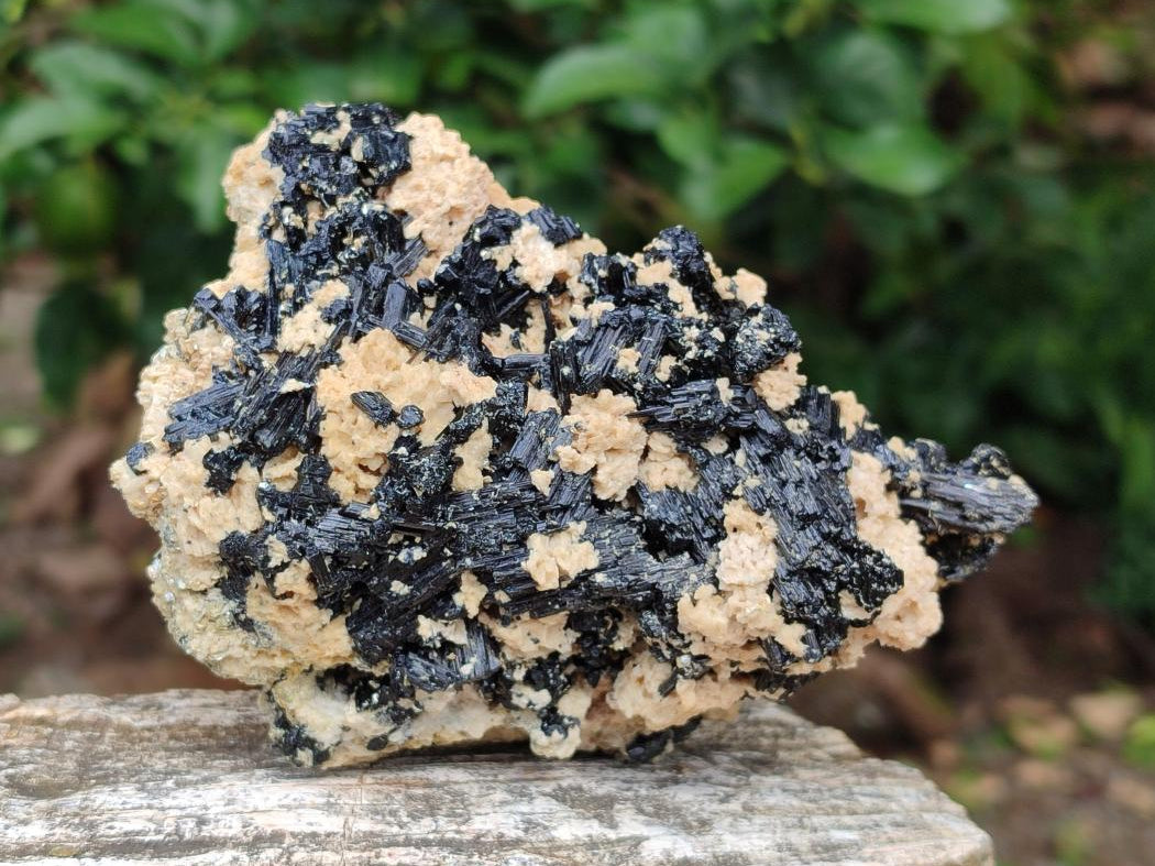 Natural Schorl Black Tourmaline with Vermiculite x 3 From Erongo, Namibia - Toprock Gemstones and Minerals 