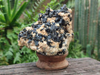 Natural Schorl Black Tourmaline with Vermiculite x 3 From Erongo, Namibia - Toprock Gemstones and Minerals 