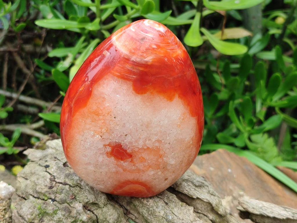 Polished Carnelian Agate Gemstone Standing Display Pieces x 2 From Madagascar - Toprock Gemstones and Minerals 