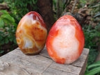 Polished Carnelian Agate Gemstone Standing Display Pieces x 2 From Madagascar - Toprock Gemstones and Minerals 