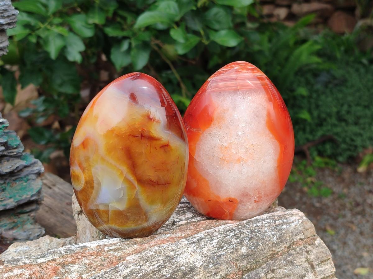 Polished Carnelian Agate Gemstone Standing Display Pieces x 2 From Madagascar - Toprock Gemstones and Minerals 
