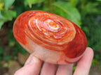 Polished Carnelian Agate Gemstone Standing Display Pieces x 2 From Madagascar - Toprock Gemstones and Minerals 