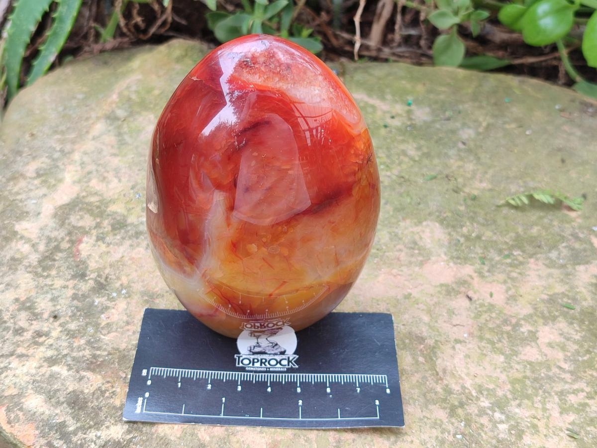 Polished Carnelian Agate Gemstone Standing Display Pieces x 2 From Madagascar - Toprock Gemstones and Minerals 