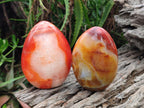 Polished Carnelian Agate Gemstone Standing Display Pieces x 2 From Madagascar - Toprock Gemstones and Minerals 