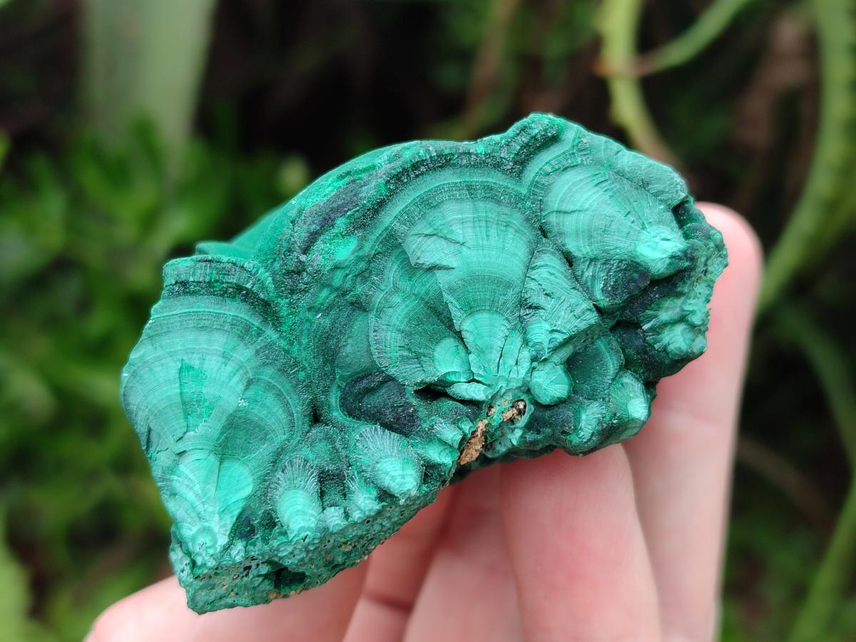 Natural Botryoidal Malachite Specimens x 12 From Congo - Toprock Gemstones and Minerals 
