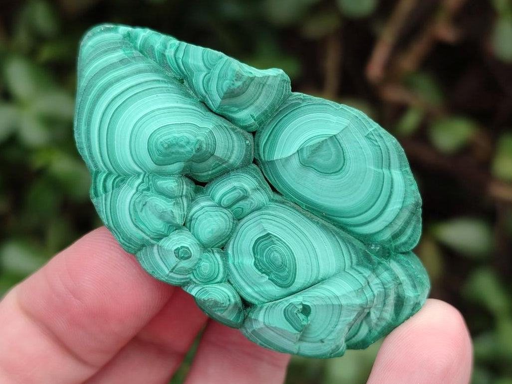 Natural Botryoidal Malachite Specimens x 12 From Congo - Toprock Gemstones and Minerals 