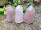 Polished Gemmy Rose Quartz Crystals x 6 From Madagascar - Toprock Gemstones and Minerals 