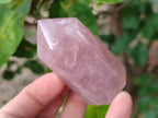 Polished Gemmy Rose Quartz Crystals x 6 From Madagascar - Toprock Gemstones and Minerals 