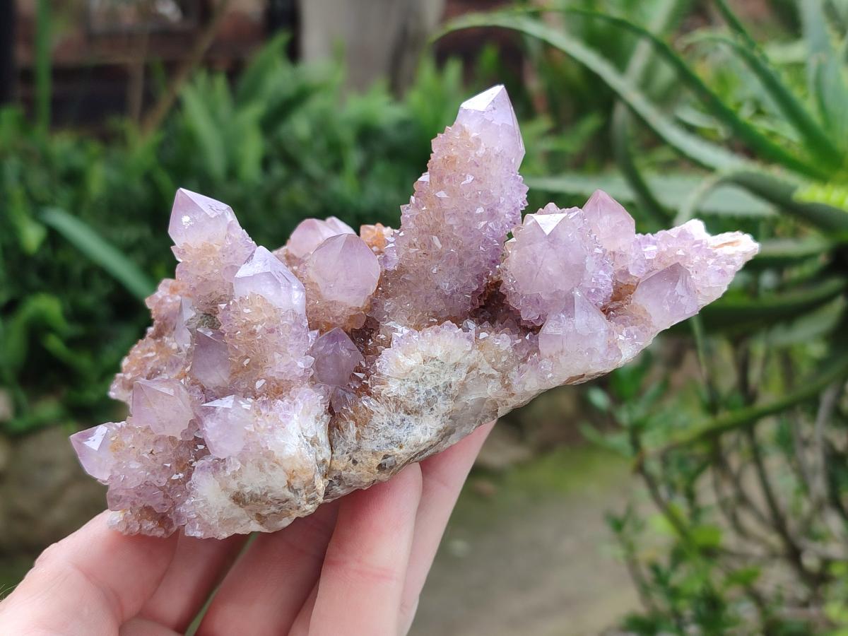 Natural Spirit Amethyst and Ametrine Clusters x 5 From Boekenhouthoek, South Africa - Toprock Gemstones and Minerals 