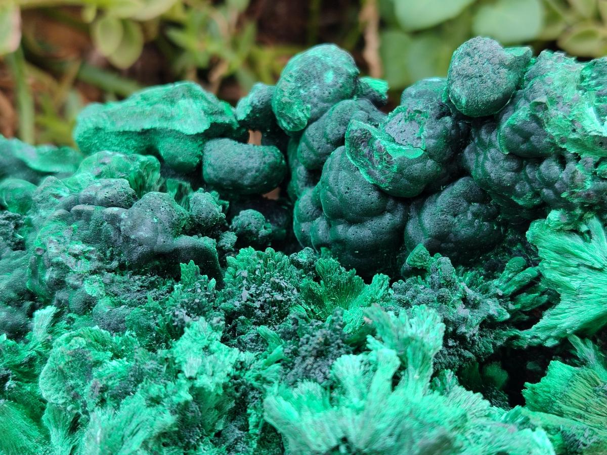 Natural XL Silky Malachite Specimen x 1 From Kasompe, Congo - Toprock Gemstones and Minerals 
