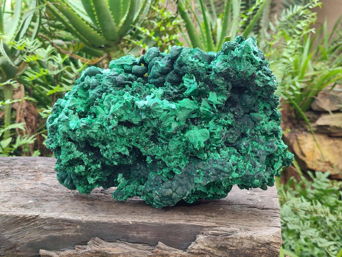 Natural XL Silky Malachite Specimen x 1 From Kasompe, Congo - Toprock Gemstones and Minerals 