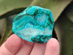 Polished Malacolla Free Forms x 24 From Kulukuluku, Congo - Toprock Gemstones and Minerals 