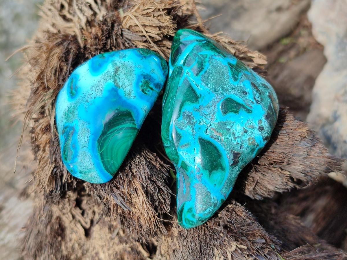 Polished Malacolla Free Forms x 24 From Kulukuluku, Congo - Toprock Gemstones and Minerals 