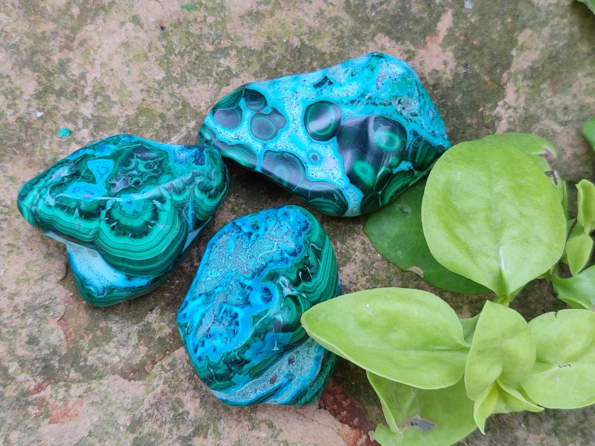 Polished Malacolla Free Forms x 24 From Kulukuluku, Congo - Toprock Gemstones and Minerals 