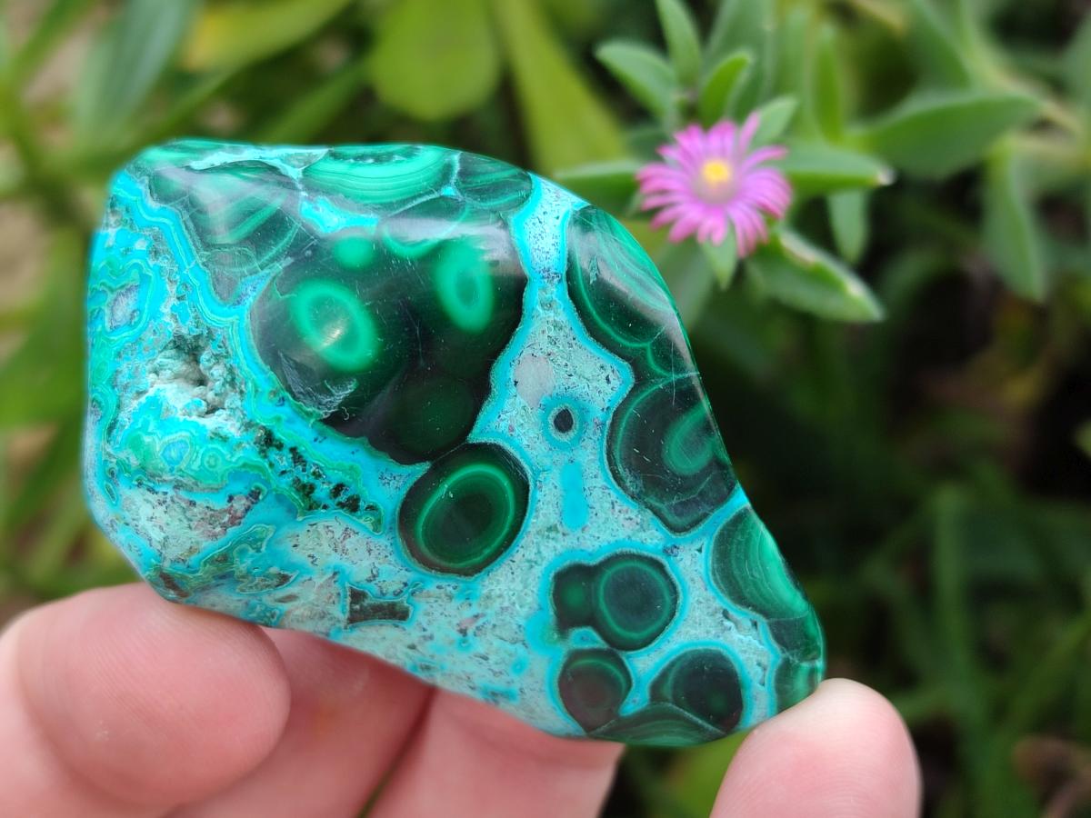Polished Malacolla Free Forms x 24 From Kulukuluku, Congo - Toprock Gemstones and Minerals 