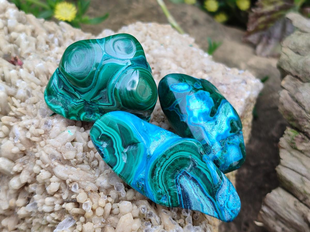 Polished Malacolla Free Forms x 24 From Kulukuluku, Congo - Toprock Gemstones and Minerals 