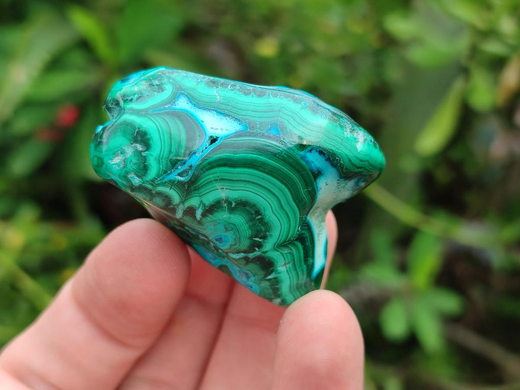 Polished Malacolla Free Forms x 24 From Kulukuluku, Congo - Toprock Gemstones and Minerals 