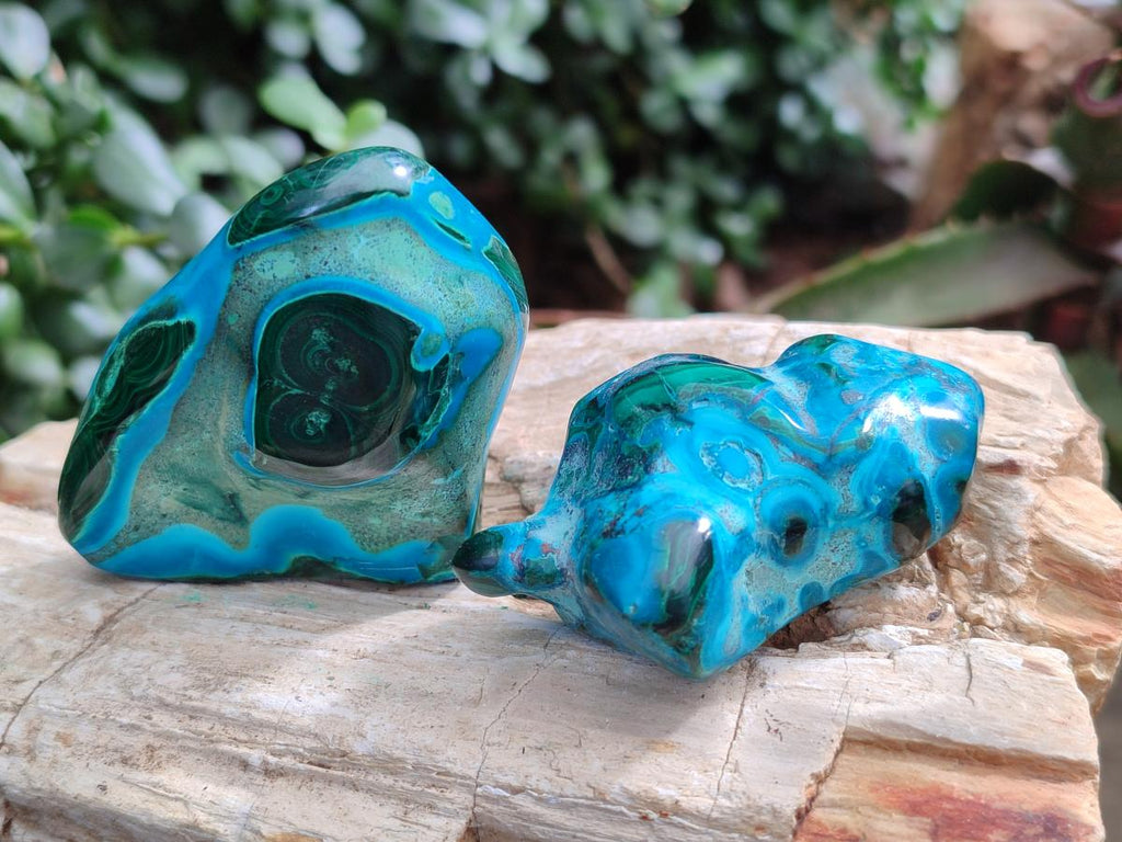 Polished Malacolla Free Forms x 24 From Kulukuluku, Congo - Toprock Gemstones and Minerals 