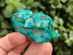 Polished Malacolla Free Forms x 24 From Kulukuluku, Congo - Toprock Gemstones and Minerals 