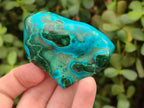 Polished Malacolla Free Forms x 24 From Kulukuluku, Congo - Toprock Gemstones and Minerals 
