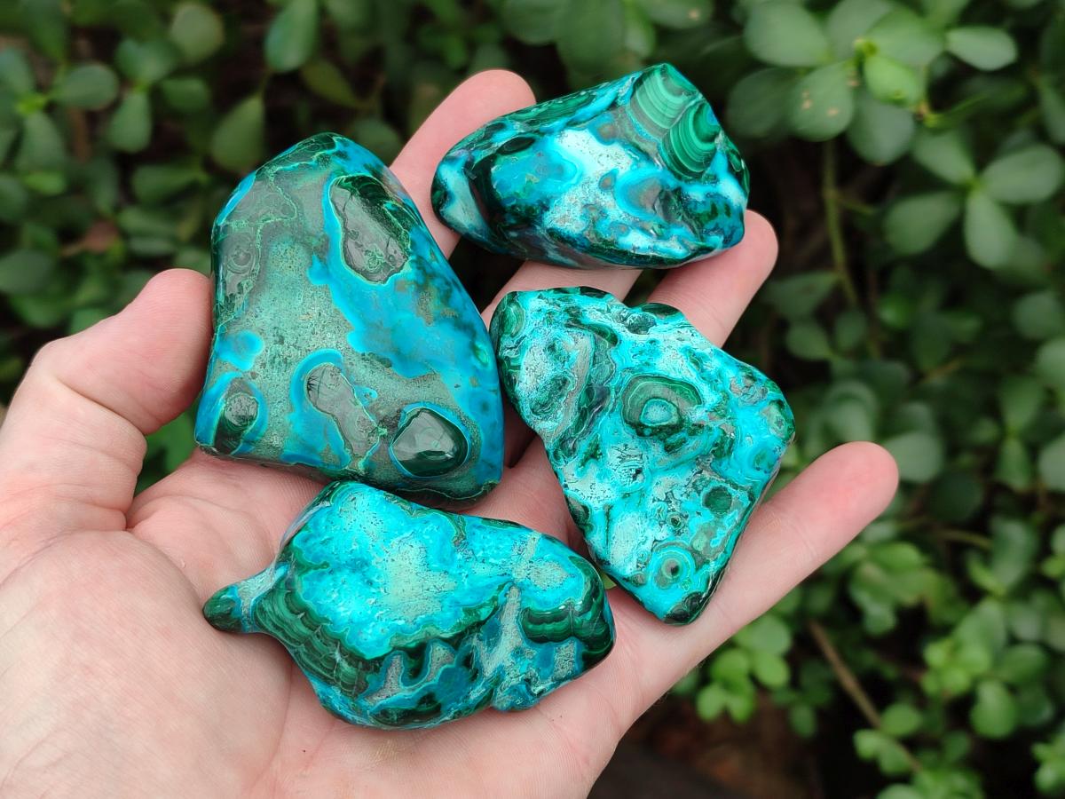 Polished Malacolla Free Forms x 24 From Kulukuluku, Congo - Toprock Gemstones and Minerals 