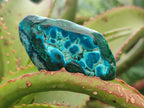 Polished Malacolla Free Forms x 24 From Kulukuluku, Congo - Toprock Gemstones and Minerals 
