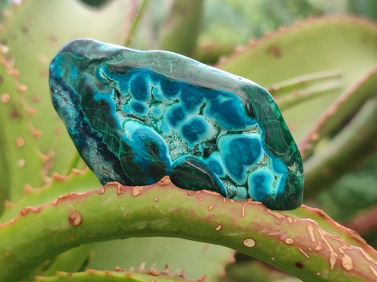 Polished Malacolla Free Forms x 24 From Kulukuluku, Congo - Toprock Gemstones and Minerals 