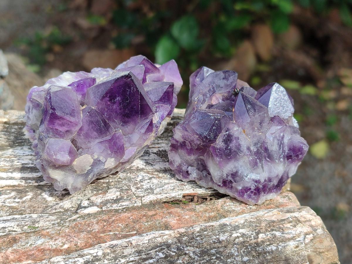 Natural Dark Amethyst Mapatizya Clusters x 12 From Mapatizya, Zambia - Toprock Gemstones and Minerals 