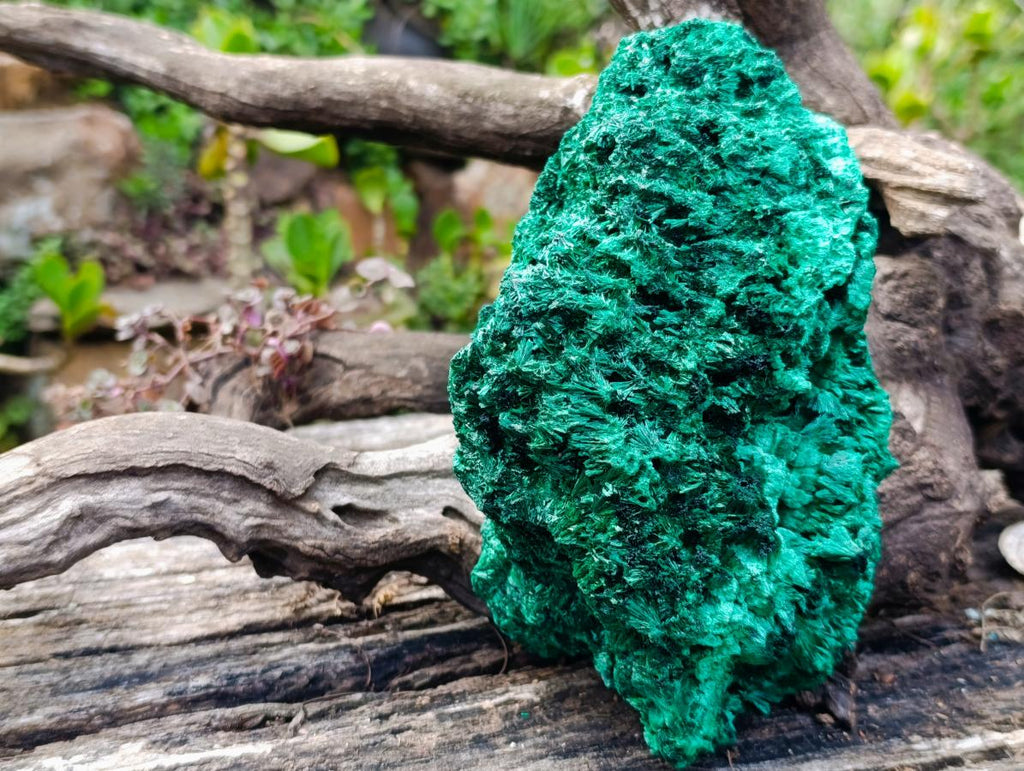 Natural Large Silky Malachite Specimen x 1 From Kasompe, Congo - Toprock Gemstones and Minerals 