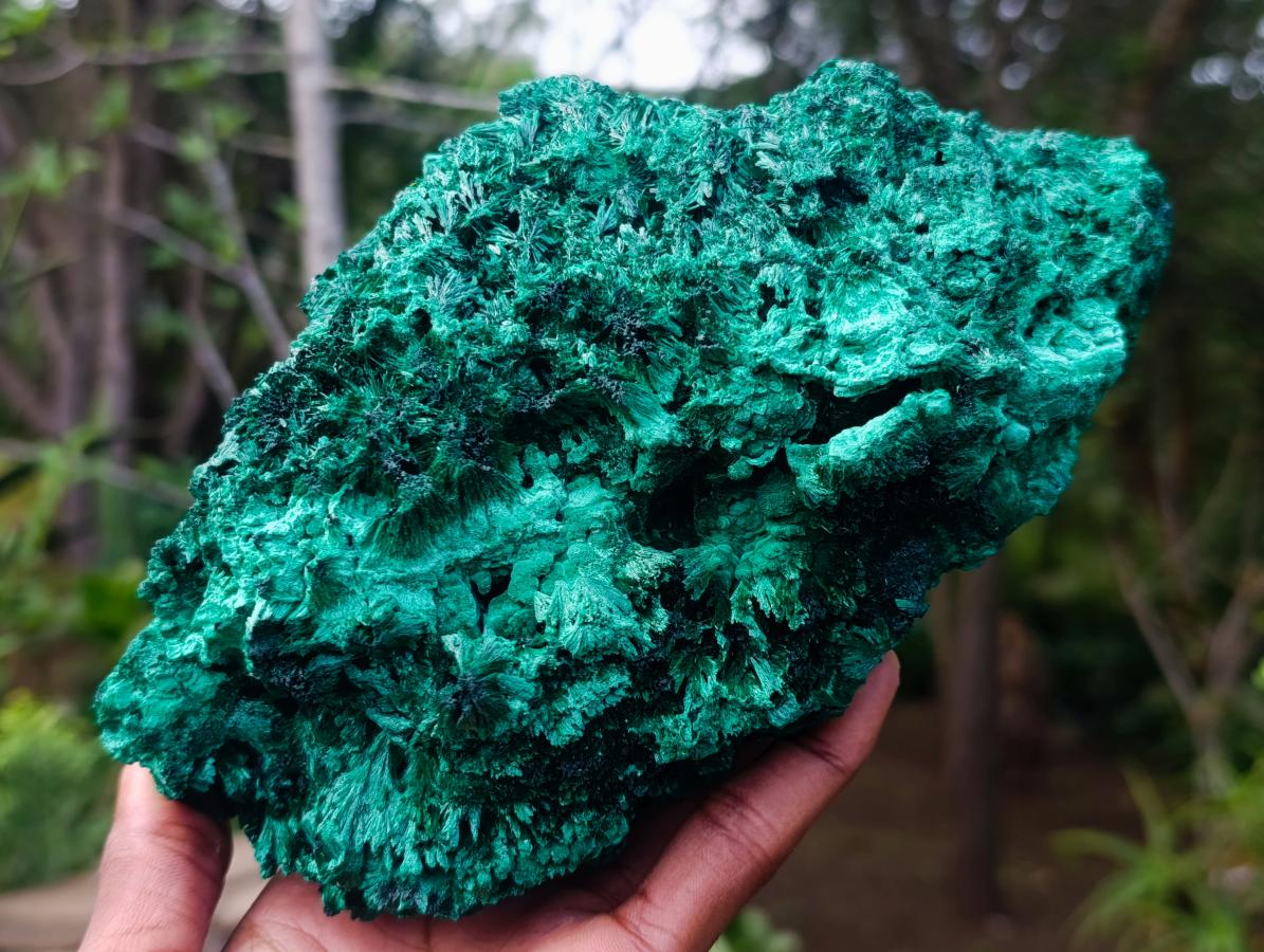 Natural Large Silky Malachite Specimen x 1 From Kasompe, Congo - Toprock Gemstones and Minerals 