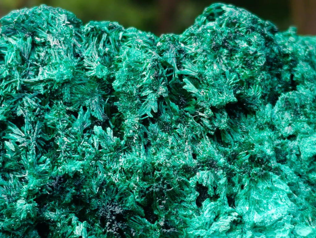 Natural Large Silky Malachite Specimen x 1 From Kasompe, Congo - Toprock Gemstones and Minerals 