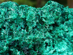 Natural Large Silky Malachite Specimen x 1 From Kasompe, Congo - Toprock Gemstones and Minerals 