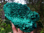 Natural Large Silky Malachite Specimen x 1 From Kasompe, Congo - Toprock Gemstones and Minerals 