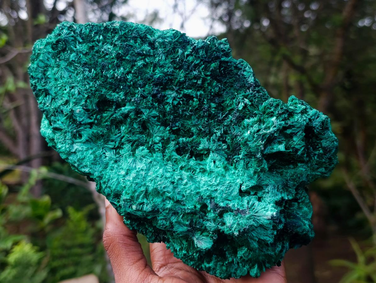 Natural Large Silky Malachite Specimen x 1 From Kasompe, Congo - Toprock Gemstones and Minerals 