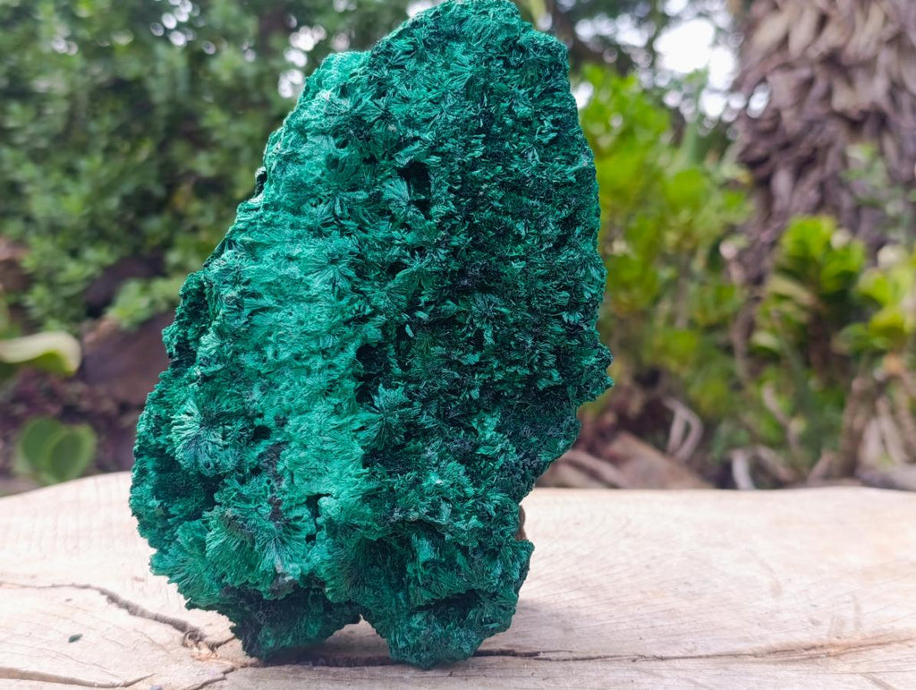 Natural Large Silky Malachite Specimen x 1 From Kasompe, Congo - Toprock Gemstones and Minerals 