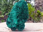 Natural Large Silky Malachite Specimen x 1 From Kasompe, Congo - Toprock Gemstones and Minerals 