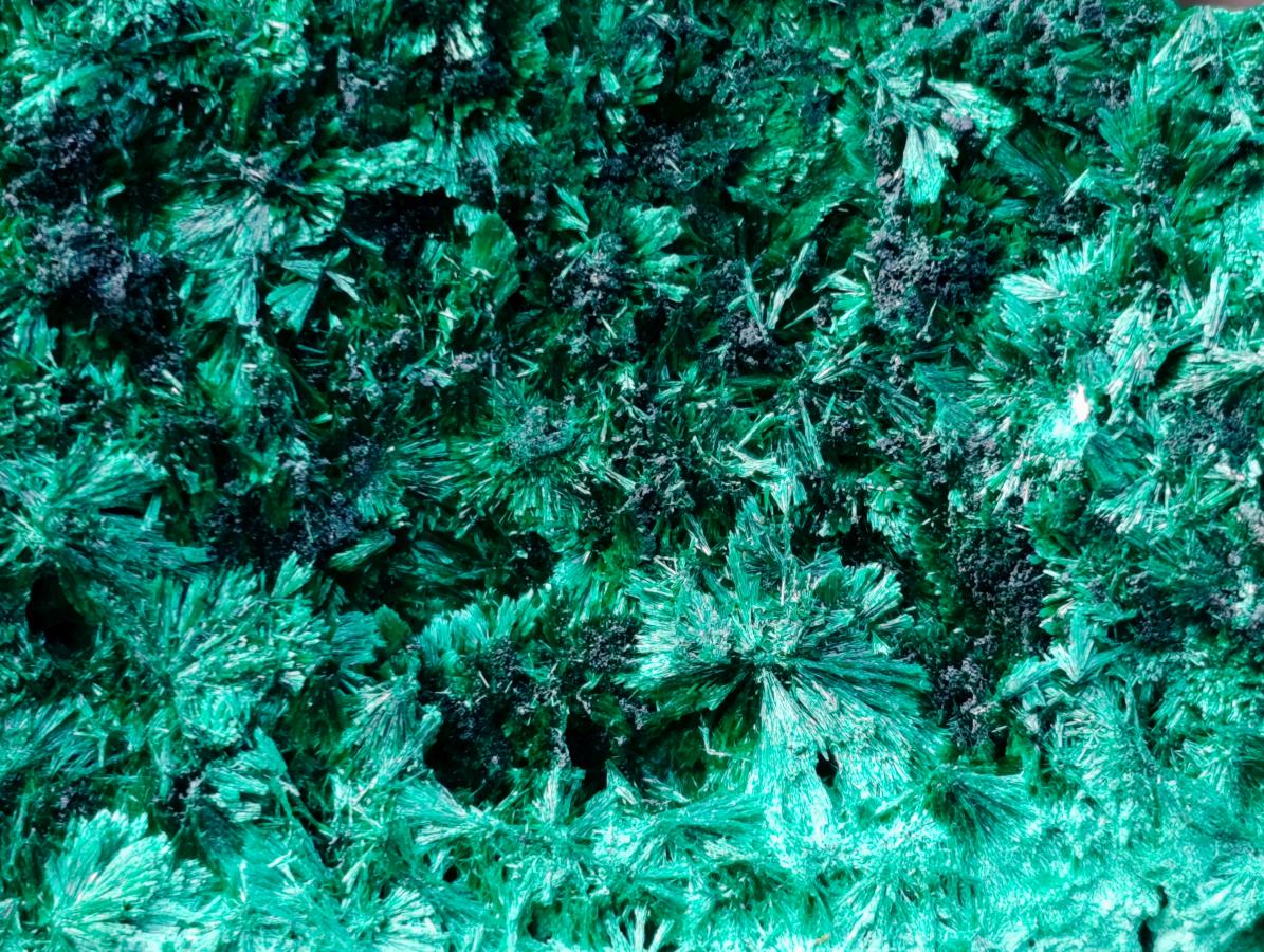 Natural Large Silky Malachite Specimen x 1 From Kasompe, Congo - Toprock Gemstones and Minerals 