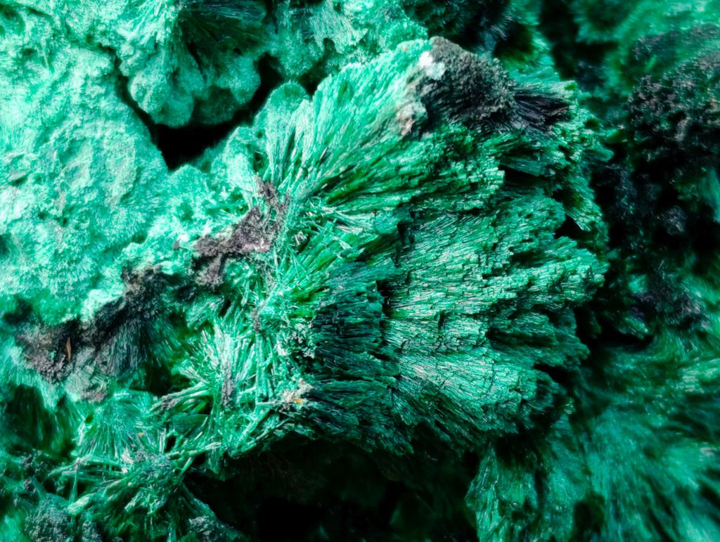 Natural Large Silky Malachite Specimen x 1 From Kasompe, Congo - Toprock Gemstones and Minerals 