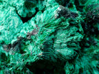 Natural Large Silky Malachite Specimen x 1 From Kasompe, Congo - Toprock Gemstones and Minerals 